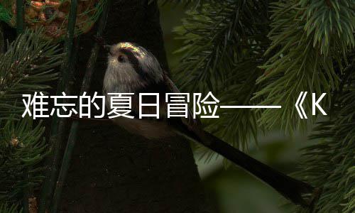 难忘 年的夏险 夏启日冒日记日开忆岛于月将